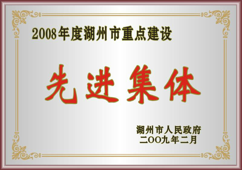 2008年度湖州市重點建設(shè)先進集體