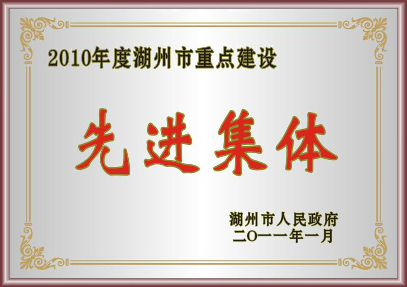 2010年度湖州市重點建設(shè)先進集體